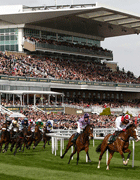 Aintree Festival - Grand National